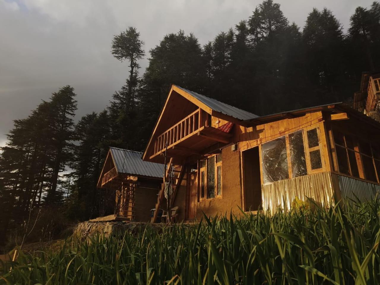 Deep In Woods Villa Jibhi Luaran gambar