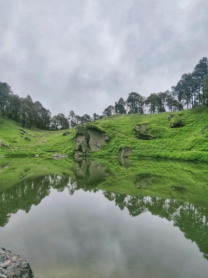 Deep In Woods Villa Jibhi Luaran gambar
