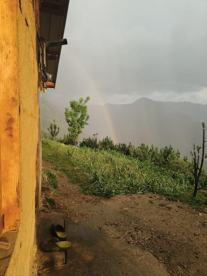 Deep In Woods Villa Jibhi Luaran gambar
