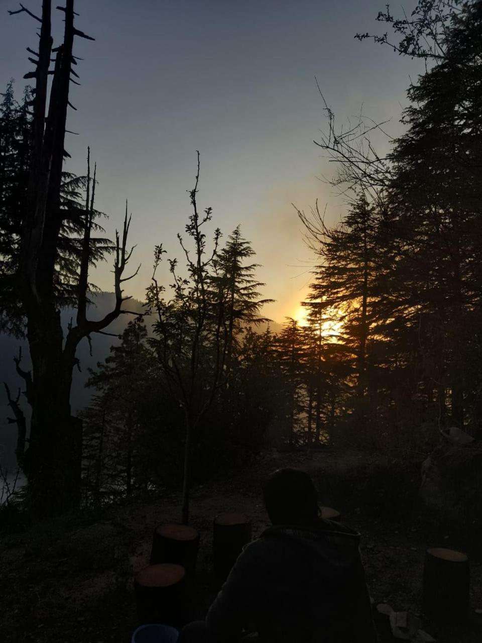 Deep In Woods Villa Jibhi Luaran gambar